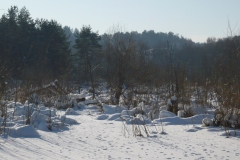 P1000165
