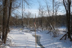 P1000172