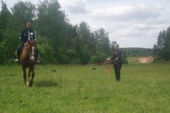 OLYMPUS DIGITAL CAMERA